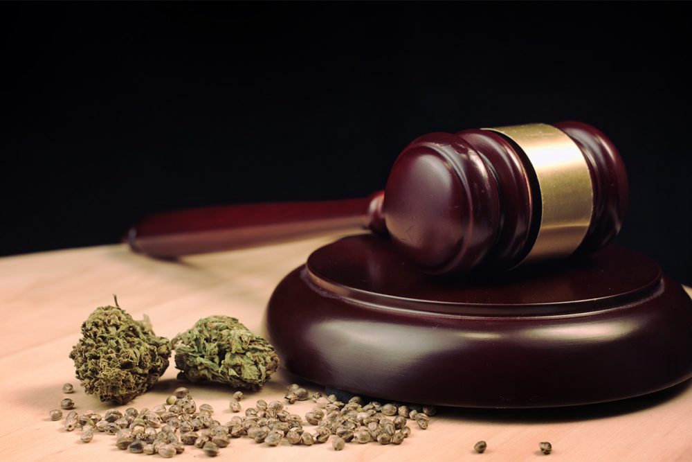 大麻是幾級毒品？抽大麻被抓會被關嗎？了解大麻刑責